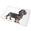 Bath Mats valp Merle Dapple Dachshund Mat Badrumsmatta för dusch Home Entrance Anti Slip Waterproof Floor Toalett