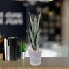 Decoratieve bloemen Kunstmatige Tijger Piranha Planten Sansevieria Struik Nep Slang Peva Elegant Huishoudelijk DIY Bloemstuk Materialen