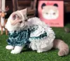 Ubrania z ubrania dla psów ręcznie robione materiały dla zwierząt w szlachetnym aksamitnym stylu królewskim kota czapki 2 kolory wiosenny kostium świąteczny
