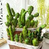 Decorative Flowers Tropical Artificial Plants Cactus Simulated Green Plant Creative DIY Decoration For Home Succulent Potted Landscape 2024