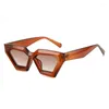 Zonnebril Retro Cat Eye Dames Polygon Gradient Shades UV400 Mode Unieke Heren Zonnebril Trending Outdoor Goggles