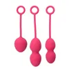 Volwassen product Vibrators Nova Dames Dumbbell Jumping Egg Fun Delivery Ball