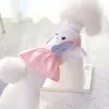 Vêtements pour chiens Robe douce Vêtements Rose Bleu Petit Moyen Vêtements Chiot Chemise Jupe Chihuahua Yorkshire Pet Été