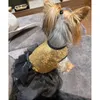 Abbigliamento per cani Abito da principessa Camicia estiva brillante Gonna tutu Vestiti per Yorkie Chihuahua Shih Tzu Bowknot Costume da cucciolo per festa di nozze