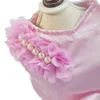 Dog Apparel Wedding Dress Princess Costume Summer Outfits Birthday Lace Pet Clothing ForPets Dogs Small Cats