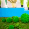 Flores decorativas Artificial Fake Moss Sphere Plantas verdes Hierba Vida eterna Paisaje Artesanía Mini para jardín El Decoración del hogar Paja