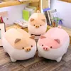 4050 سم لطيف Shiba Inu Dog Cat Pig Plush Toy Studed Soft Kawaii Animal Pillow Hight Fabory Fabric