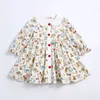 2024 Robe de printemps pour filles Vêtements de bébé Imprimer Fleur Vêtements pour enfants Costume de princesse Enfants Outfit Tops Robes Soeurs 240126