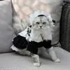 Cat Maid Dress and Hat Pret Cat Cat Custumes Clother Hitten Pet Cosplay Comird Cosplay Complay Cat Halloween 240130