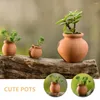 Trädgårdsdekorationer 6 st lövstickar Succulent Flower Pot Pots for Plants Pottery Mini Gardening