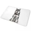 Bath Mats Pomsky Dog Mat Pet Bathroom Carpet For Shower Home Decor Absorbent Foot Non-slip Custom DIY Toilet Pad