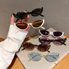 Solglasögon 2024 Retro Small Half Frame Women Cat Eye Trendy Vintage Modern Eyewear Fashion Luxury Cycling Sun Glasses