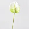 Decorative Flowers 6 Pcs Simulation Anthurium Andraeanum Arrangement Injection Molding