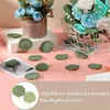 装飾的な花200ピースバルク人工ユーカリの葉の偽の緑のシルクフェイクフェイクシルバーダラー植物DIY