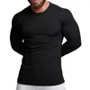 Autumn Mens Top Sports Fitness Leisure Stretch Vertical Round Neck Long Sleeve Tshirt Men kläder Plain Tees 240202