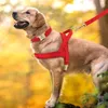 Maßgeschneidertes Leder-Hundehalsband-Geschirr-Leinen-Set, personalisiertes Haustier-Mesh-Westengeschirr, ID-Haustierleinen für kleine, mittelgroße und große Hunde 240125