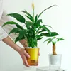 Lazy Flower Pot Automatic Waterabsorbering Flowerpot Transparent Plastic Self Watering Planter Plants Nursery Garden Decor 240131