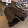 Mode Vrouwen Handschoenen Herfst Winter Leuke Harige Warme Wanten Volledige Vinger Wanten Vrouwen Outdoor Sport Vrouwelijke Touchscreen Handschoenen