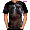 Herren-T-Shirts, die neueste Mode, französische Bulldogge, 3D-Druck, T-Shirt, Freizeithemd, süße Oberteile