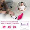 App controle borboleta vibrador wearable calcinha vibradores vibrando ovo sexshop produtos clitóris estimulador brinquedos sexuais para mulher 240130