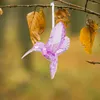 Decorazioni da giardino 6 pezzi Ciondoli colibrì in cristallo Ornamenti per uccelli Pendenti per la casa Pendenti in acrilico per volare