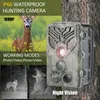 20MP 1080P Hunting Trail Camera Wildlife Night Vision Motion Activated Outdoor Waterproof Wildlife Scouting Trap Game Cam 240126