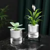 Lazy Flower Pot Automatic Waterabsorbering Flowerpot Transparent Plastic Self Watering Planter Plants Nursery Garden Decor 240131