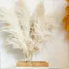 80 cm flauschiger großer Blumenstrauß aus Pampasgras, natürliche getrocknete Pflanze, Blumendekoration, rustikale Herbst-Hochzeitsparty-Dekoration 240127