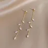 Boucles d'oreilles pendantes en Zircon pour femmes, chaîne à pampilles exquise, à la mode, aiguille plaquée or, goutte de saule, accessoires de bijoux