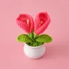 Fleurs décoratives bureau tricot laine Calla Lily petit pot cadeau Double tête Simulation plante quantité 10 Pots 8 cm x 11 cm