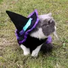 猫の衣装コスチュームコスプレ魔女魔法の帽子2 pcs小さな猫のためのペット服子猫と犬面白い休日の飾りハロウィーン