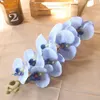 Dekoratif Çiçekler Su Velvet Phalaenopsis Yüksek Simülasyon Çin Düğün Çiçek Sanatı Ev Mobilyası Basit Dekorasyonlar