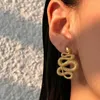 Orecchini pendenti Big Snake Serpent Statement Acciaio inossidabile per donne Gioielli punk cool minimalisti