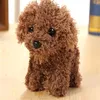 Keychains Wholesale 20PCS Fluffy Dog Pendant Key Ring Chain Toy