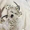 Odzież dla psa Cute Heart Cat Dress Hat Hat Summer Puppy Mała kostium spódnica Yorkshire Pomeranian Bichon pudle ubrania