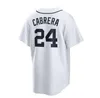 2024 Jersey de baseball S-4XL personnalisé 28 Javier Baez 24 Miguel Cabrera Jonathan Schoop 8 Robbie Grossman Niko Goodrum Detroit Tiger Akil Baddoo Jerseys