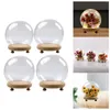Bottles Dome Display Stand With Wooden Base Showcase Decor Dustproof Tabletop Decoration