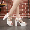 Kleid Schuhe Mode Fisch Mund Damen Für Frauen 2024 High Heel Sandalen Sommer Frauen Frau Plattform