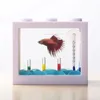 USB Mini Aquarium Fish Tank with LED Lamp Light Home Office Desktop Tea Table Decoration Accessories 240124