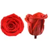 A Grade 56cm Preserved Roses Head Natural Eternal Real Flowers Florist DIY Material Rose Immortal Flower Home Wed Decor 240127