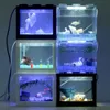 USB Mini Aquarium Fish Tank with LED Lamp Light Home Office Desktop Tea Table Decoration Accessories 240124