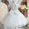 Baby meisjes witte doop verjaardag prinses jurk peuter meisje jaar borduurwerk bloemen lange mouw bloem kind bruiloft kostuum 240131