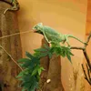 Dekorativa blommor Simulering Rattan Reptil Habitat Plants For Bearded Dragons Lizards Geckos Snake Tank