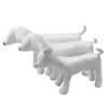 PAWSTRIP 1PC LÄDER HUND MANNUNTURNING STÅNG POSITION DOGMODELLER PETSHOP DISPLAY FÖR KLÄDER APPLEAS COLT HUM DOG TAIS 240118