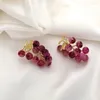 Brincos pendurados r2le frutas eardrops uva orelha pingente ornamento na moda feminina jóias y2k acessório inspirado para uso diário