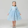 Baby Princess Unicorn Dress Cute Little Girls Primavera maniche lunghe Vestiti Bambini Lace Unicorn Abiti fantasia unicornio menina 240122