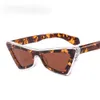 lunettes de soleil design Nouveau design personnalisé bloquant les couleurs des yeux de chat, tempérament, lunettes à billes polyvalentes, belles lunettes de soleil colorées