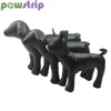 PAWSTRIP 1PC LÄDER HUND MANNUNTURNING STÅNG POSITION DOGMODELLER PETSHOP DISPLAY FÖR KLÄDER APPLEAS COLT HUM DOG TAIS 240118