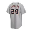 2024 Custom S-4xl Baseball Jersey 28 Javier Baez 24 Miguel Cabrera Jonathan Schoop 8 Робби Гроссман Нико Гудрум Детройт Тигр Акил Бадду