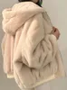 Version coréenne peluche épaissie Double face laine d'agneau coton manteau femmes hiver ample couleur unie veste à capuche avec fermeture éclair 240125